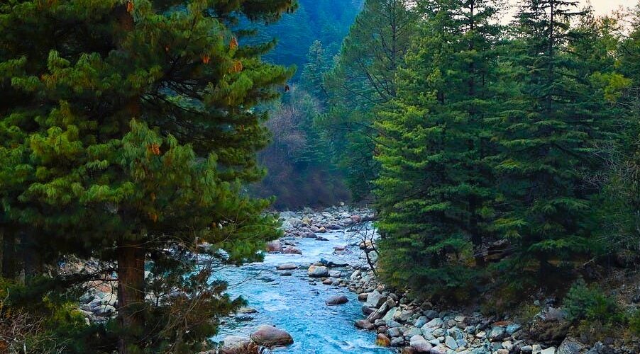 🌄 Parvati Valley Entry Point (Jari/Kasol)