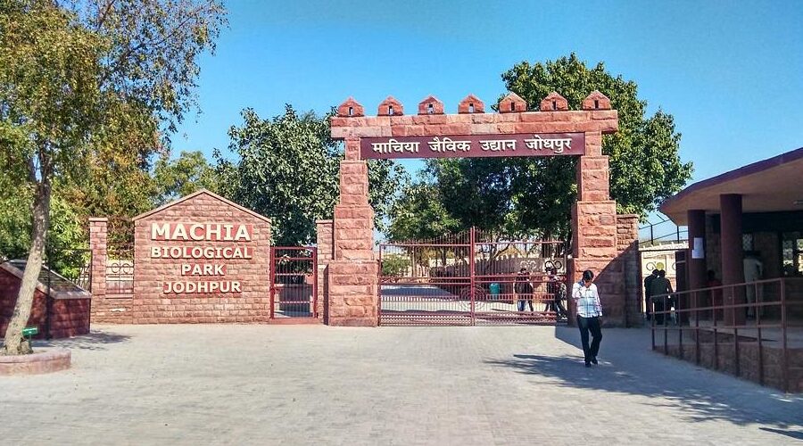 Machia Biological Park