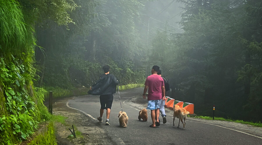 Bakrota Hills Loop Walk