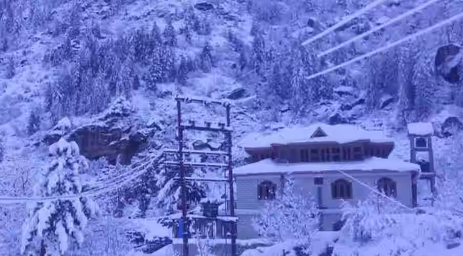 The Apple Pie (Sangla)