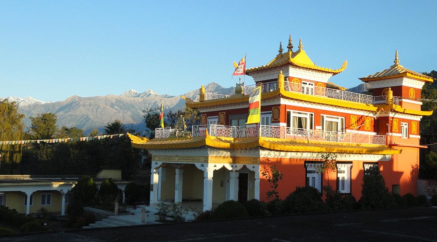 Deer Park Institute: A Sanctuary of Wisdom in Bir