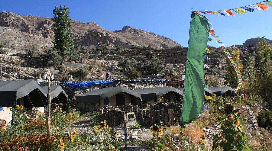 High Altitude Café (Nako)