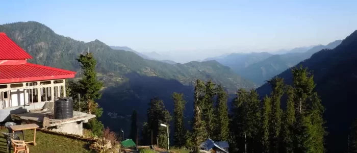 photo spot to pin-Shoja Pine Trails