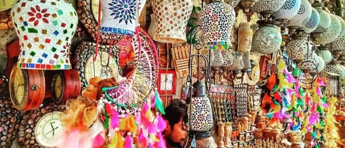 shopping-in-tirthan-valley