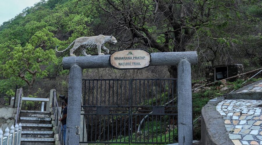 Sajjangarh Biological Park