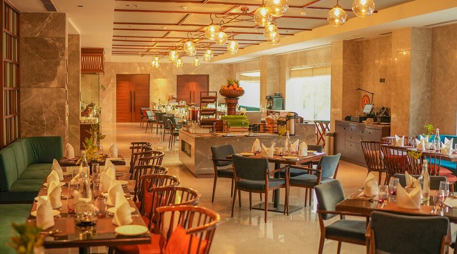 International & Contemporary Options